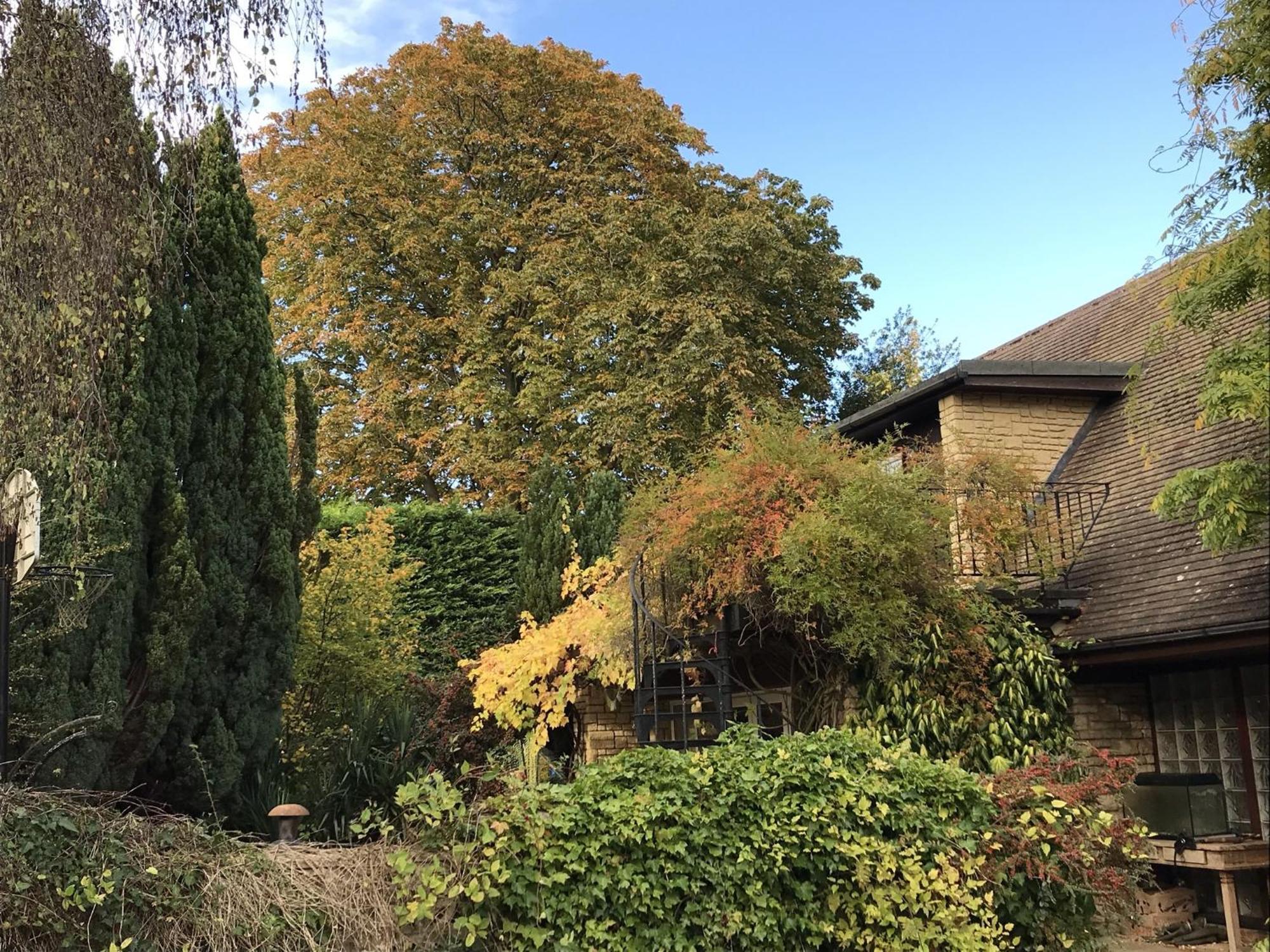 Sandford Meadow Guest House Kennington  客房 照片