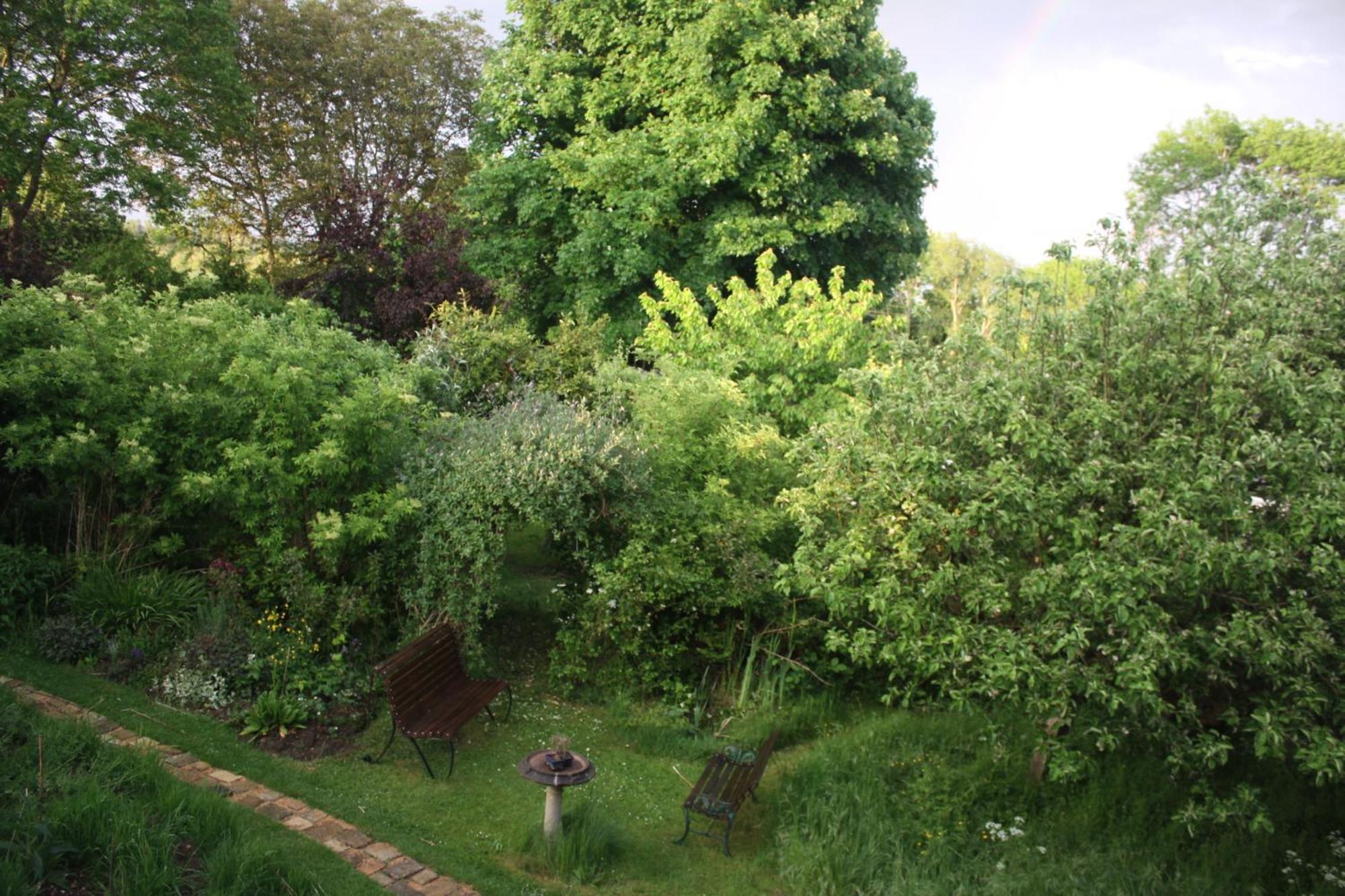 Sandford Meadow Guest House Kennington  外观 照片